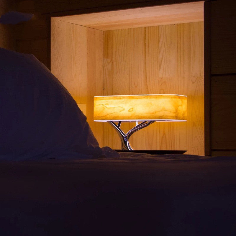 Wireless Charging Bedside Lamp Bedroom & speaker